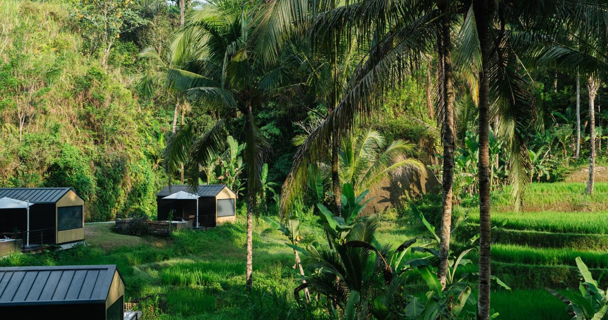 Bobocabin Ubud, Bali Eksteriør billede
